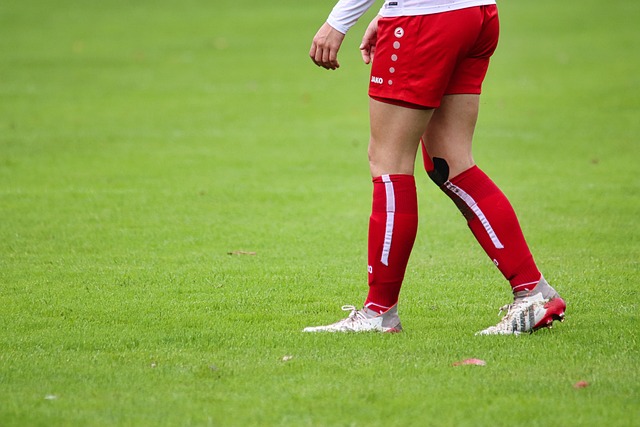 可能來自於 可能來自於