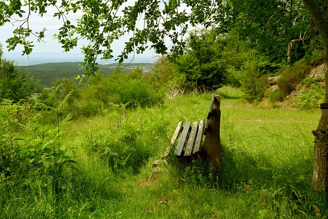 巨大的打擊 巨大的打擊