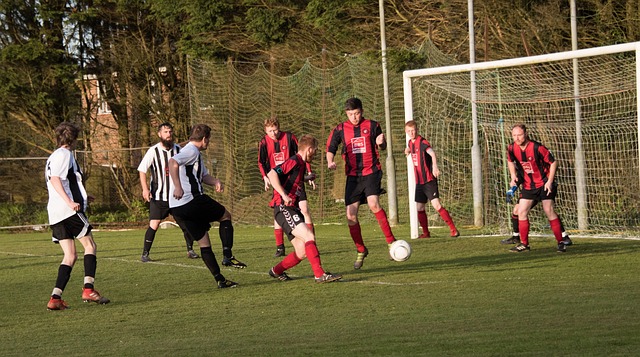 的后防线逐 的后防线逐