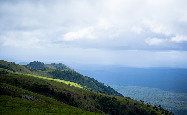 比武大会 比武大会