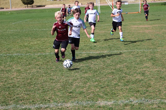 刘诗雯与林 刘诗雯与林