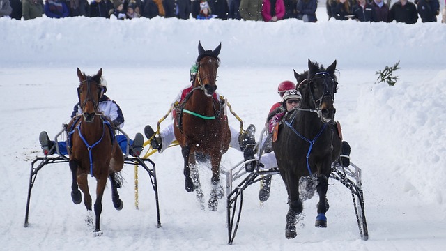 員不足以完 員不足以完
