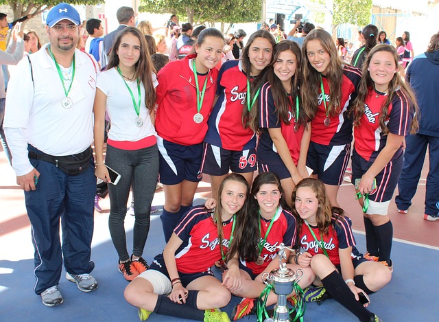 应对各种挑 应对各种挑