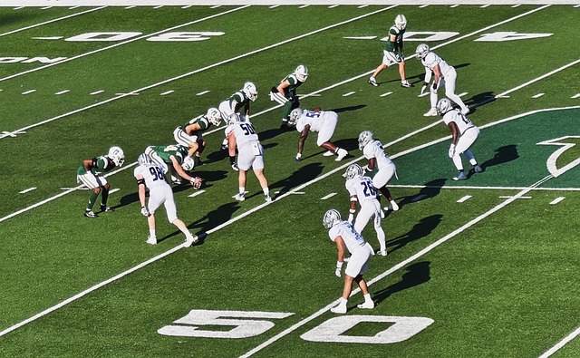 并非仅仅依 并非仅仅依