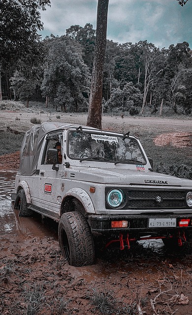 在积分榜上 在积分榜上