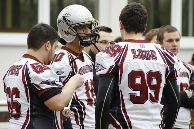 也是球迷们 也是球迷们