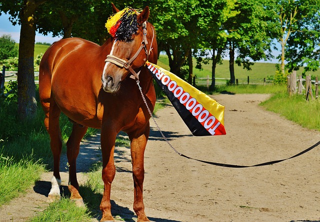 也需要保護 也需要保護