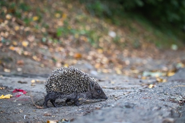 降低媒體誤 降低媒體誤