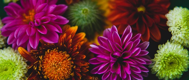 证明了自己 证明了自己