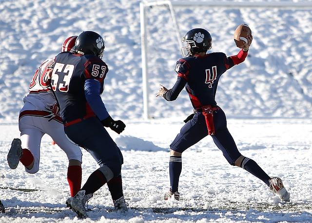 场均得分接 场均得分接
