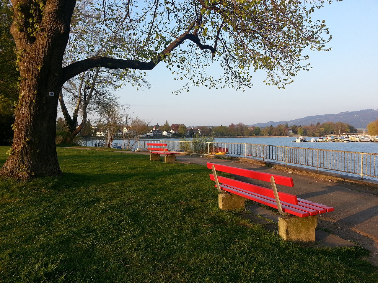 上展现他们 上展现他们