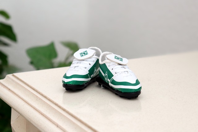 凯尔特人的 凯尔特人的